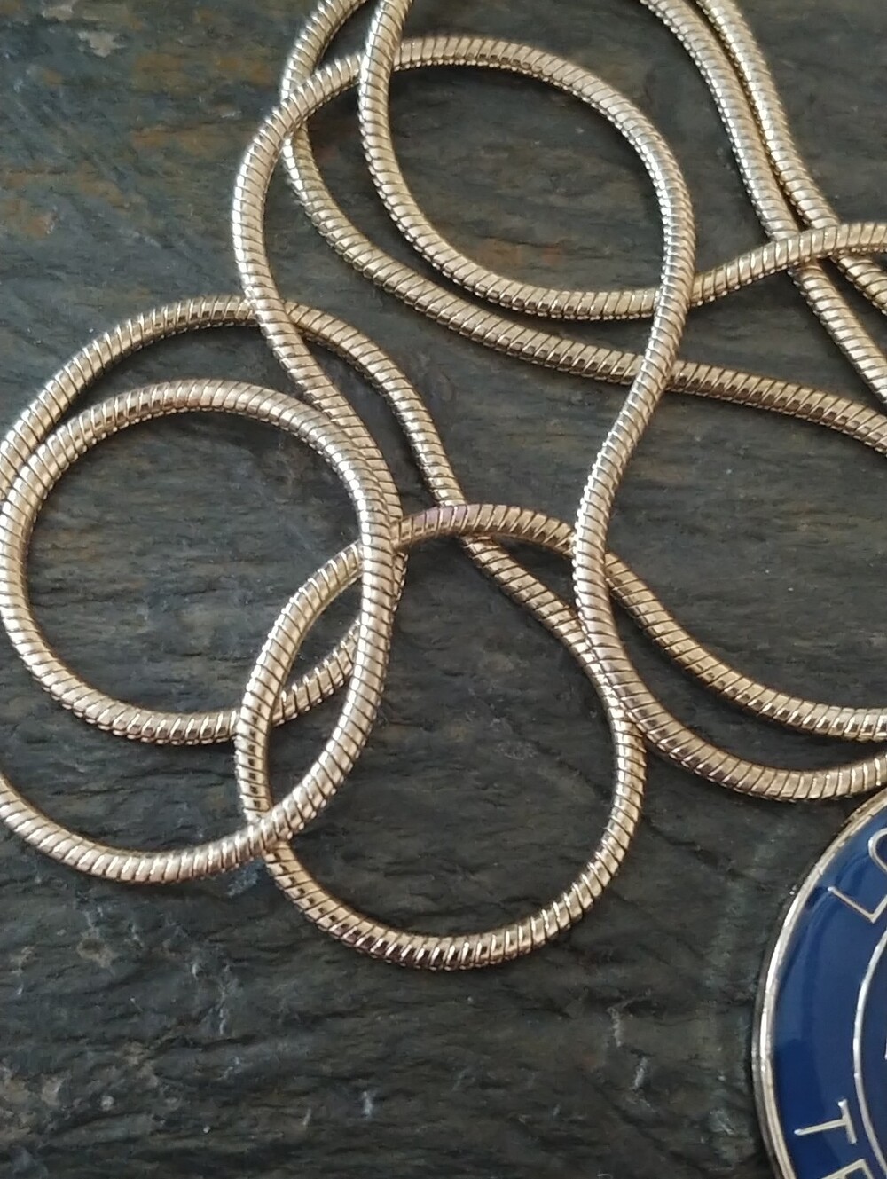 Louis Vuitton Blue and Silver Round Logo Pendant Necklace - Picture 3 of 6